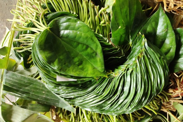 Betel Bazaar India