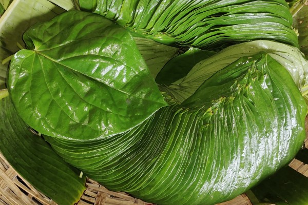 Betel Bazaar India