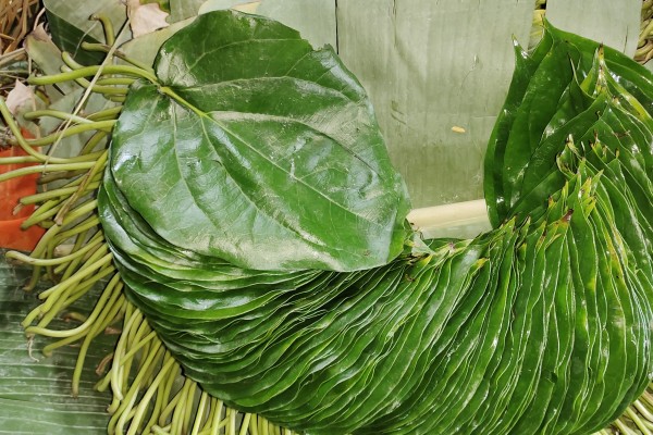 Betel Bazaar India