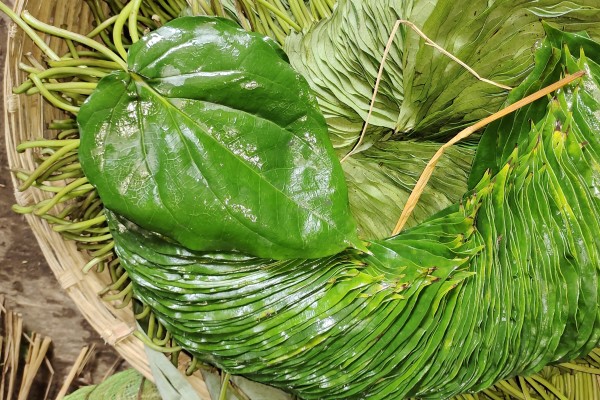 Betel Bazaar India