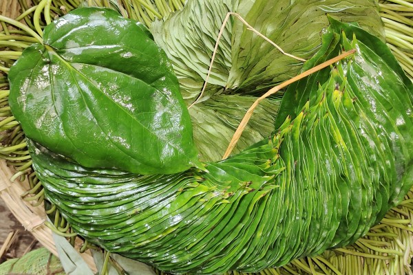 Betel Bazaar India