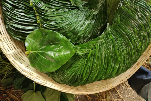 Betel Bazaar India