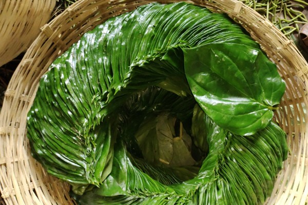 Betel Bazaar India