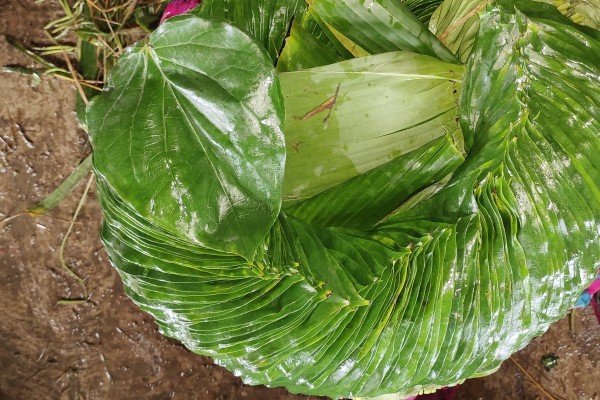 Betel Bazaar India