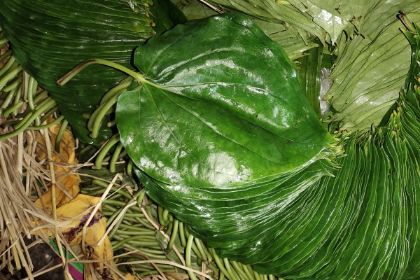 Betel Bazaar India